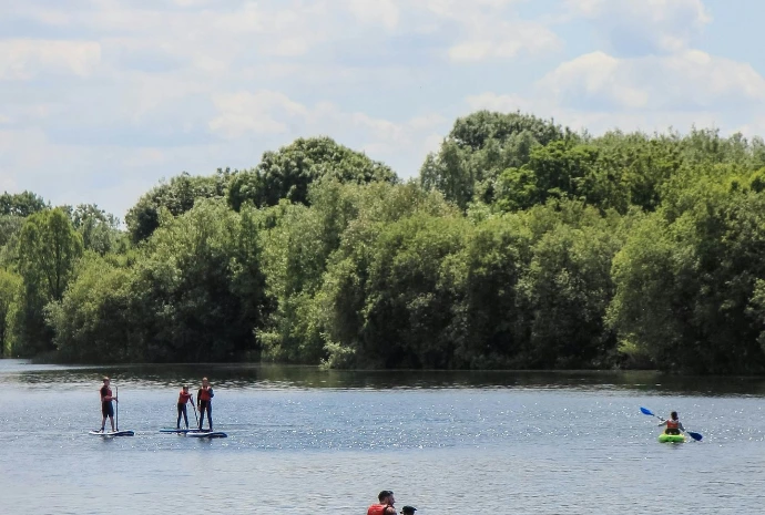 people riding on kayak near trees during daytime